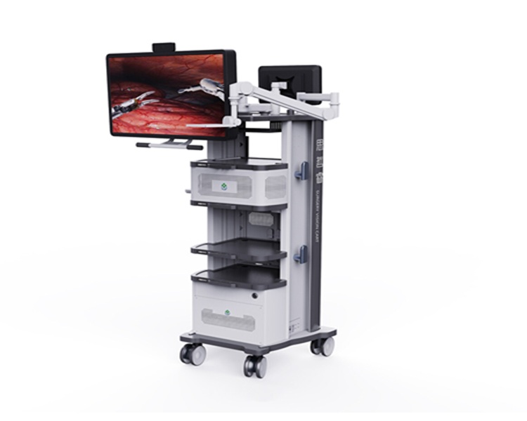 Multi-Surgical Robot
