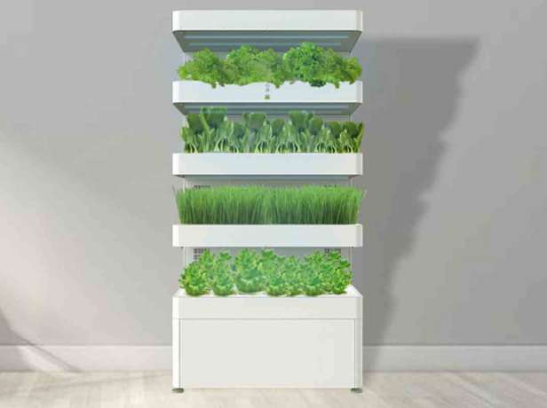 Home Vegetable Planter