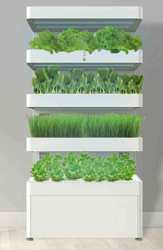 Home Vegetable Planter