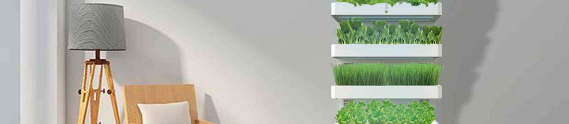 Home Vegetable Planter