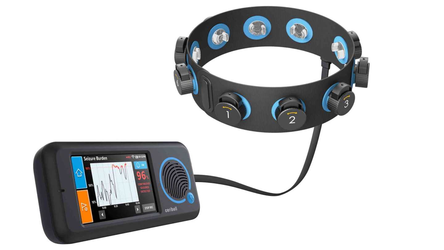 EEG 3.jpg