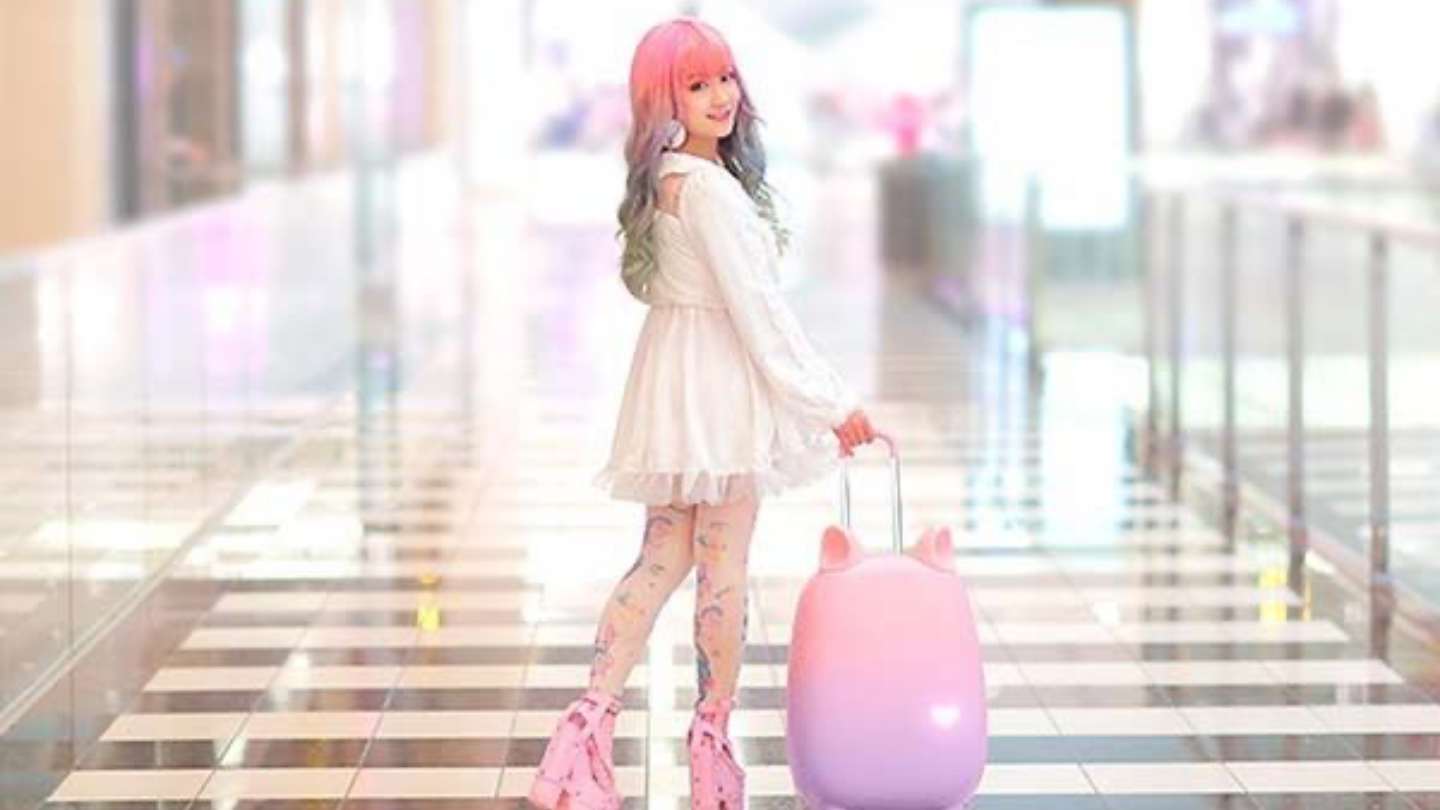 Fravel Smart Suitcase