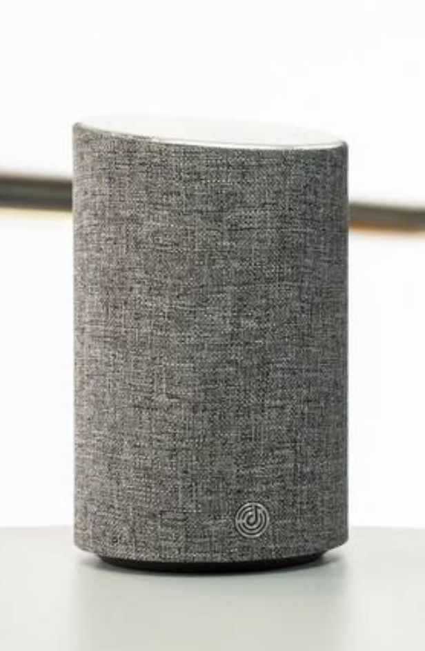 DingDong AI Speaker