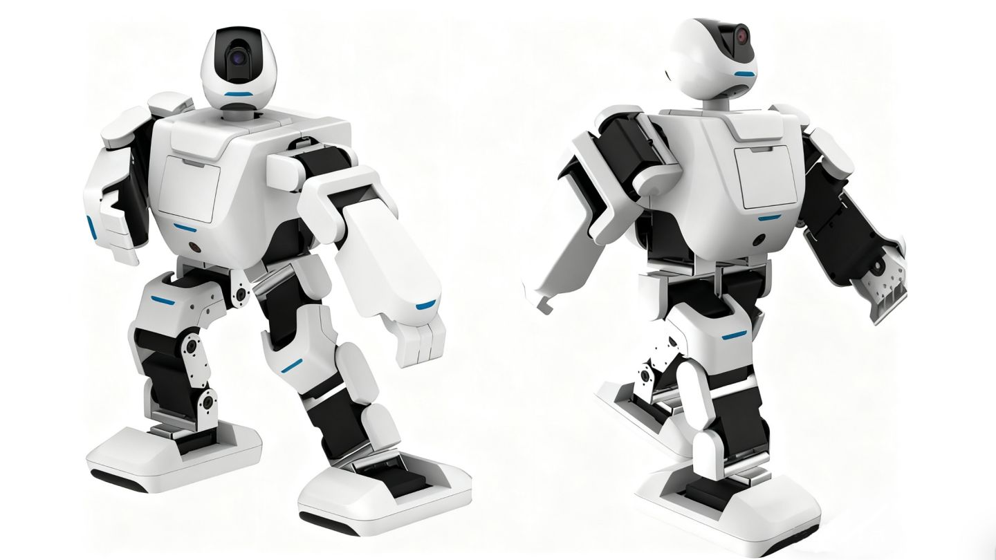Leju Intelligent Robot