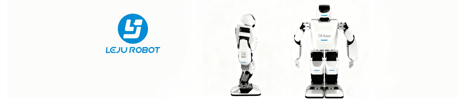 Leju Intelligent Robot
