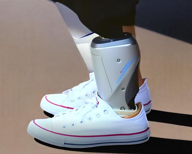 Power Crus Prosthesis