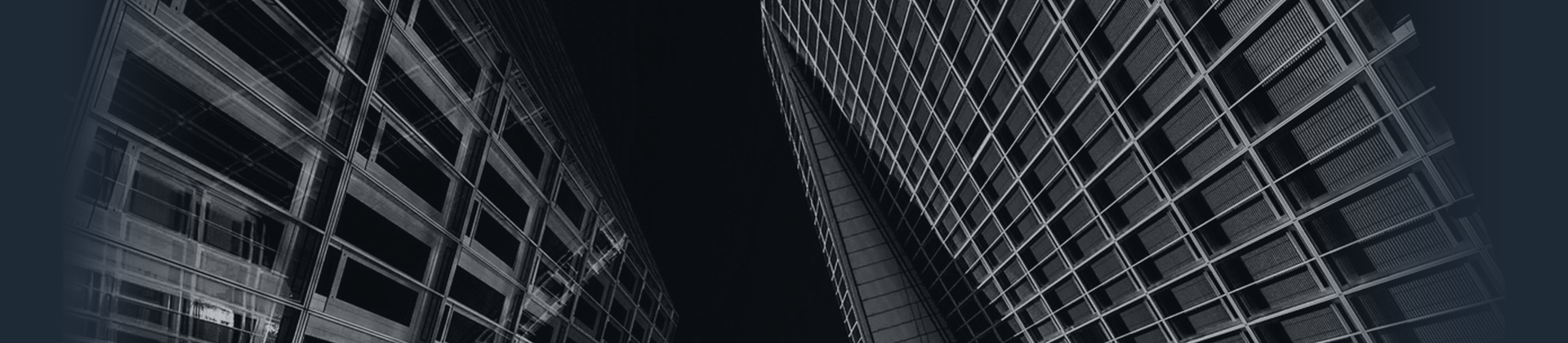 banner-pic.png