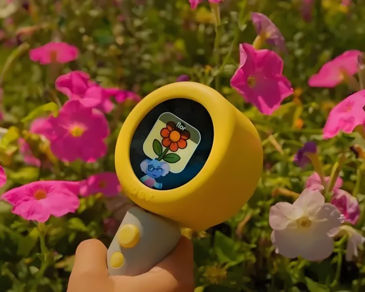 DEX AI Camera