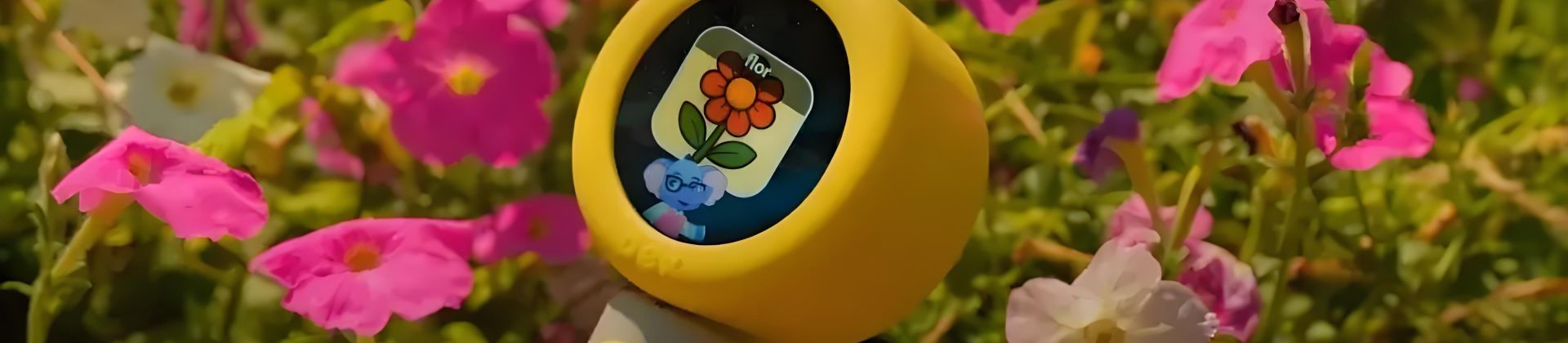 DEX AI Camera
