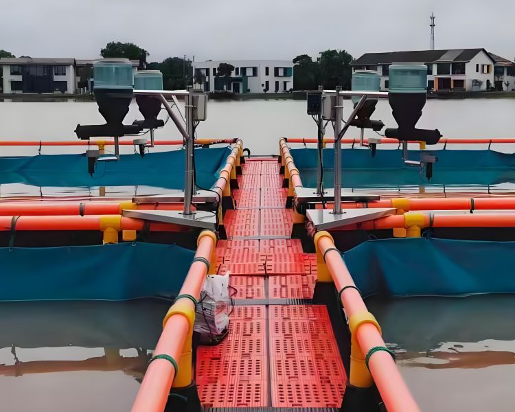 Aquatics Feeding Machine