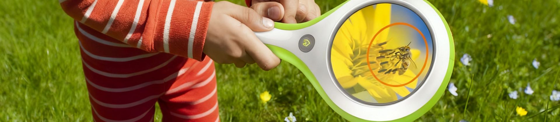 NEOBEAR AI Toy Design- banner