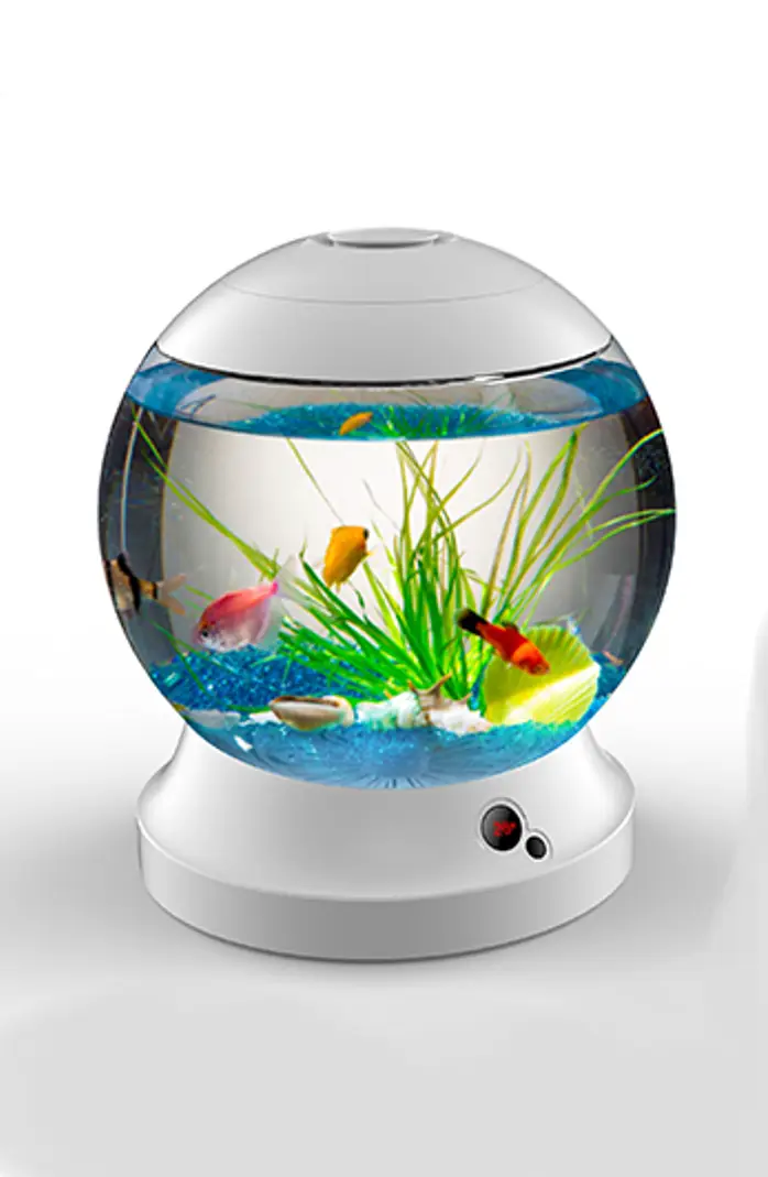 Smart Ecological Aquarium