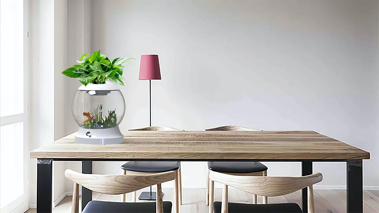 Smart Ecological Aquarium