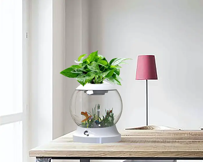 Smart Ecological Aquarium