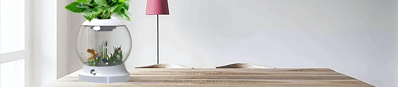 Smart Ecological Aquarium