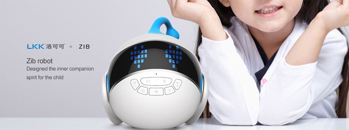 ZIB Educational Robot