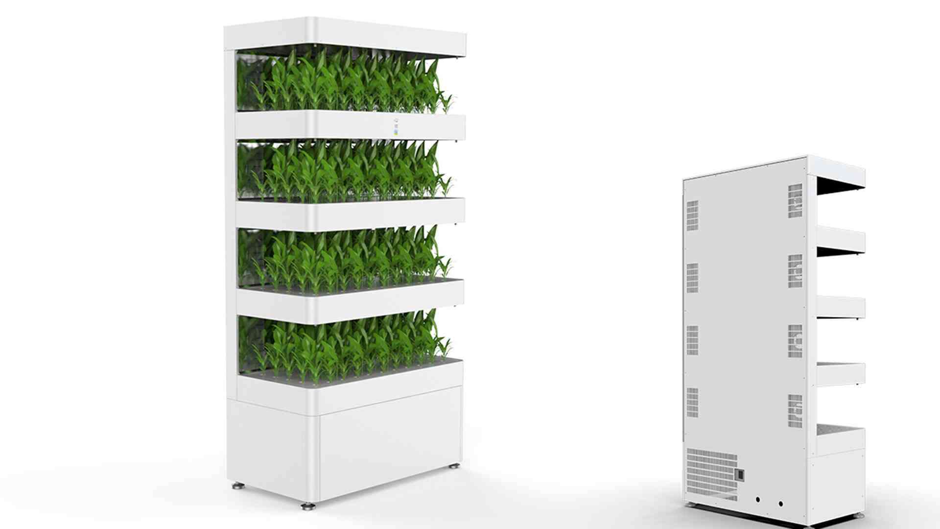 indoor hydroponic garden development
