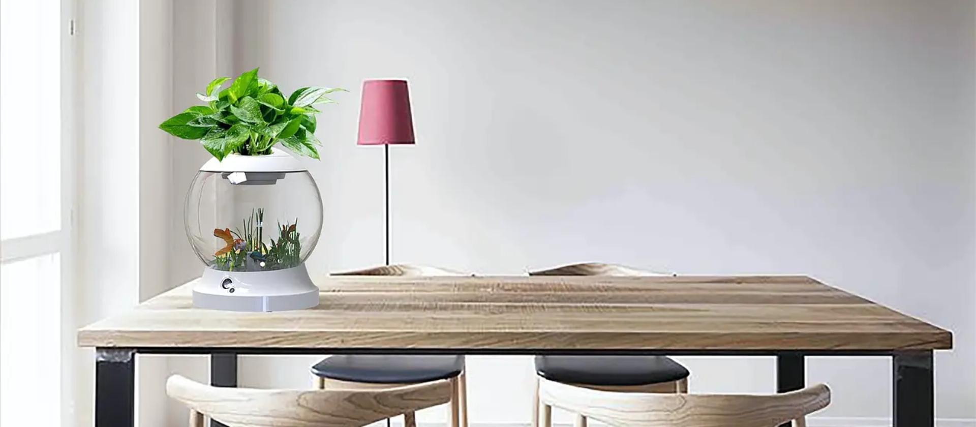 Smart Ecological Aquarium