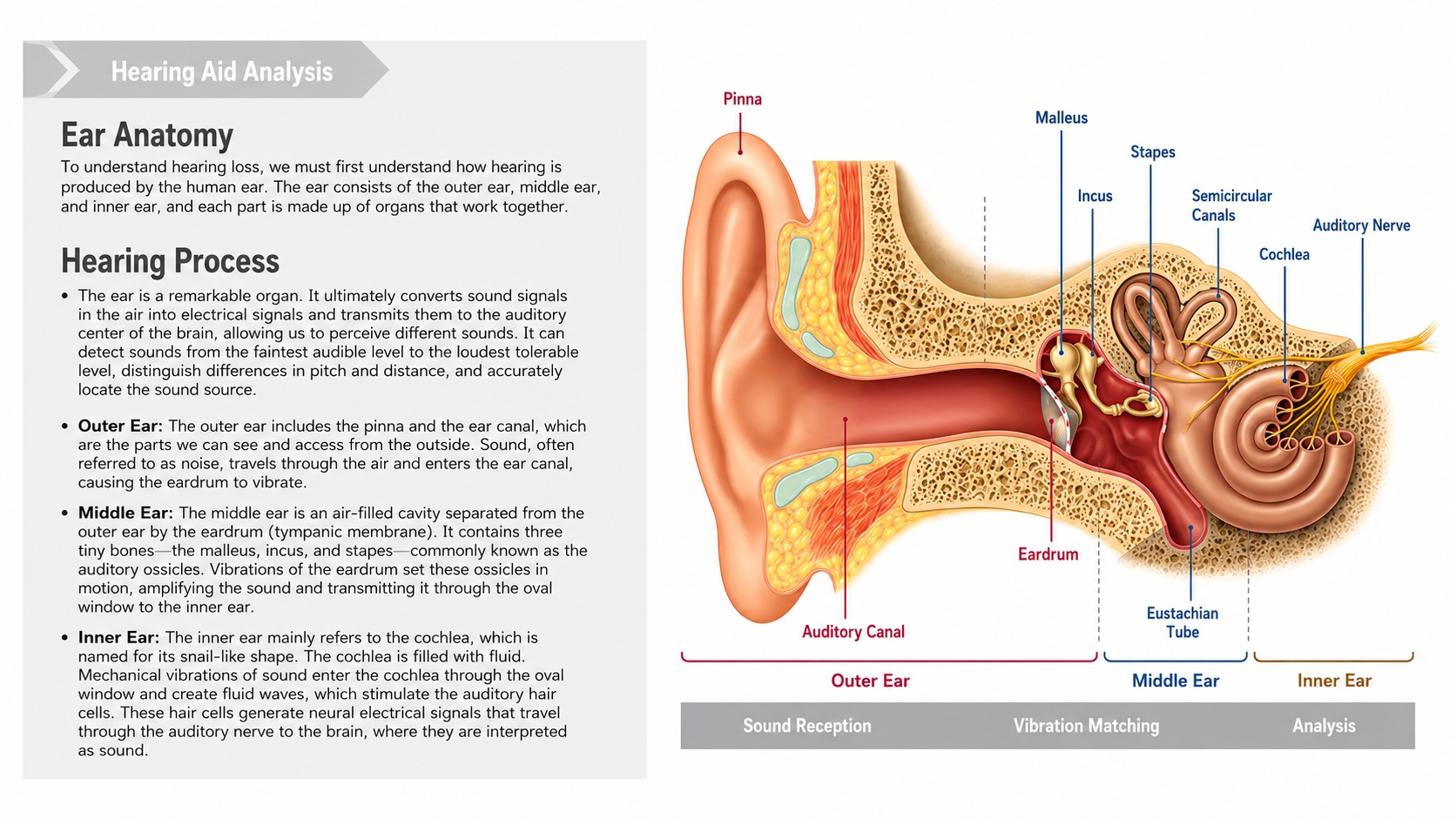 Smart Hearing Aid Design